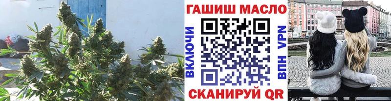 ТГК концентрат  как найти   darknet как зайти  Афипский 